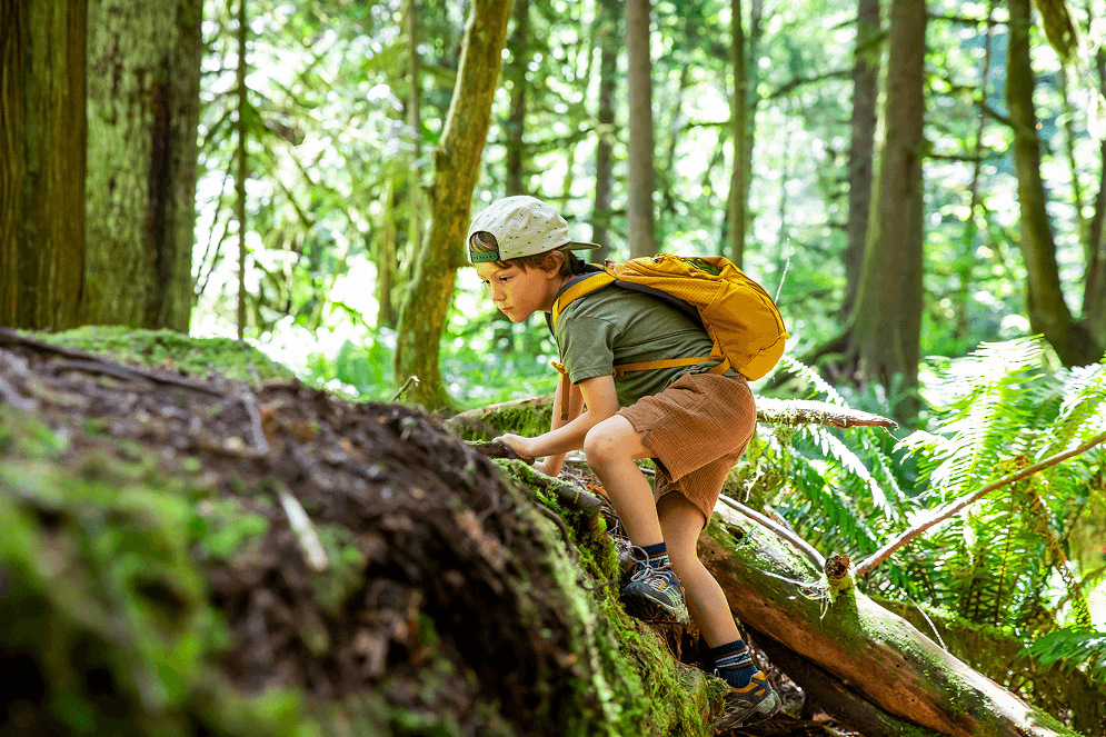 Boy climbing a tree