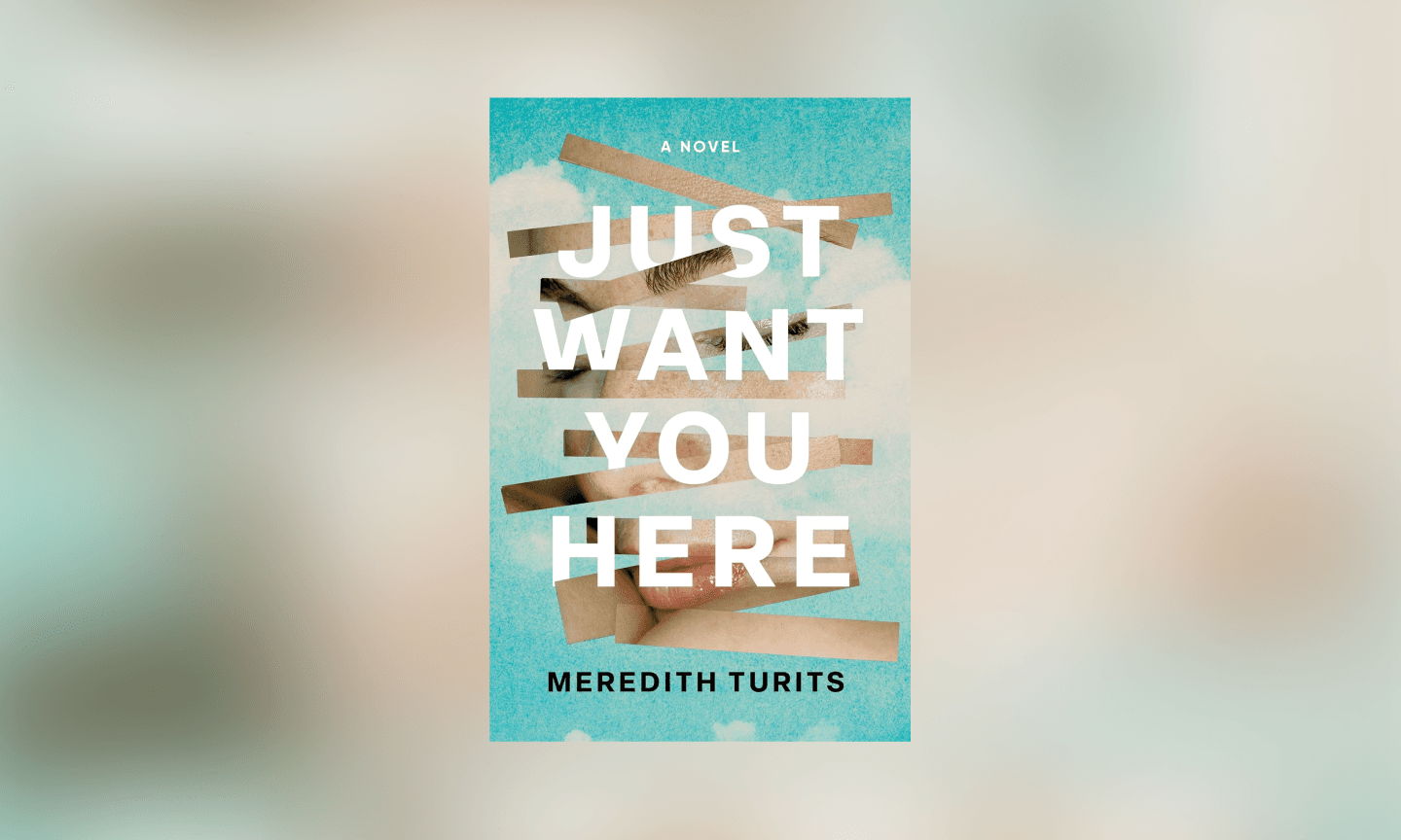 Just Want You Here by Meredith Turits