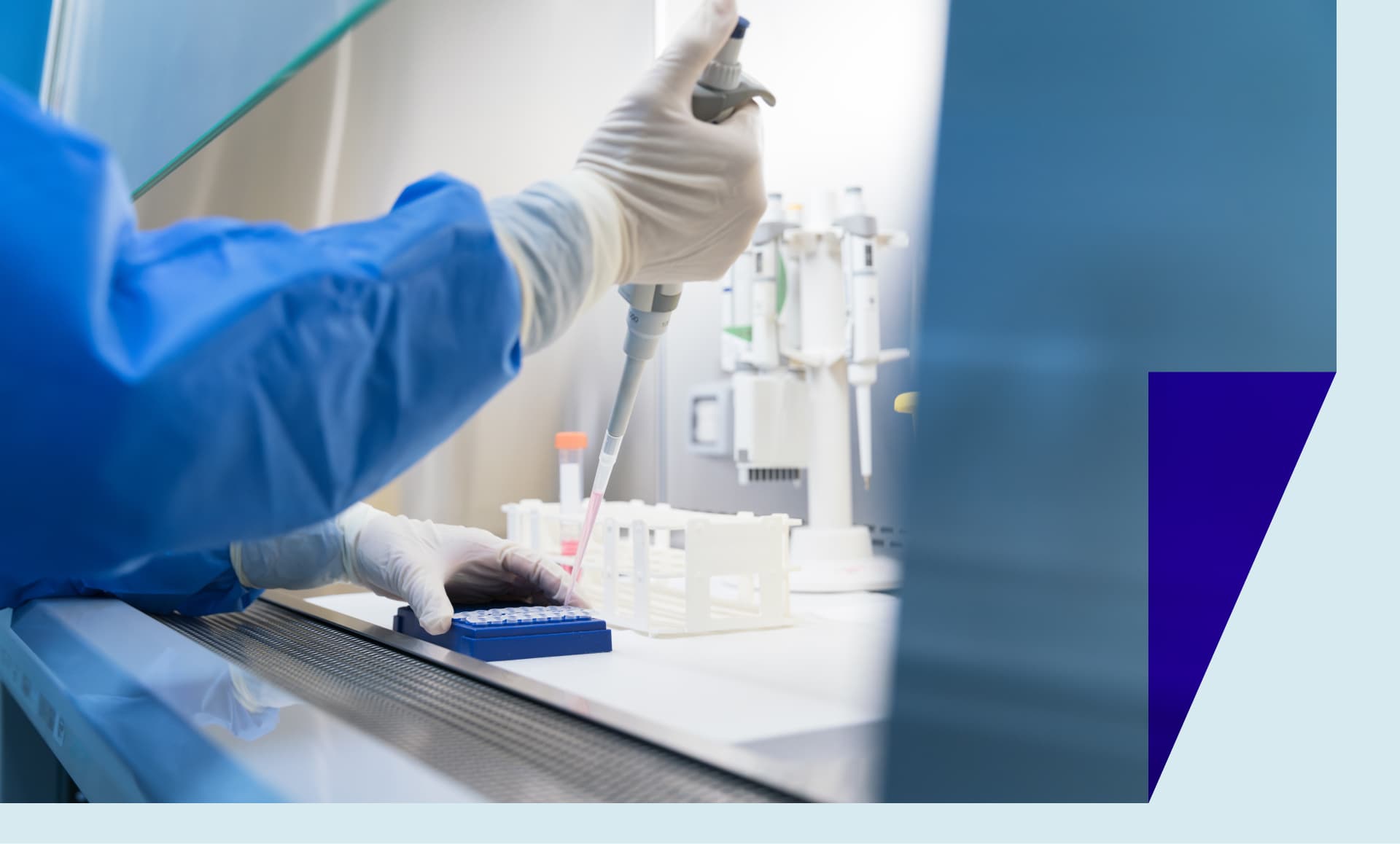 Scientists conduct scientific experiments in the biosafety cabinet of the laboratory