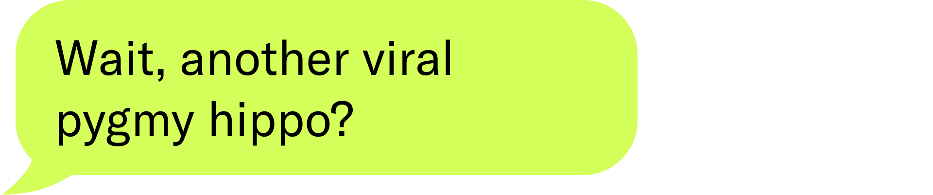 Wait, another viral pygmy hippo?