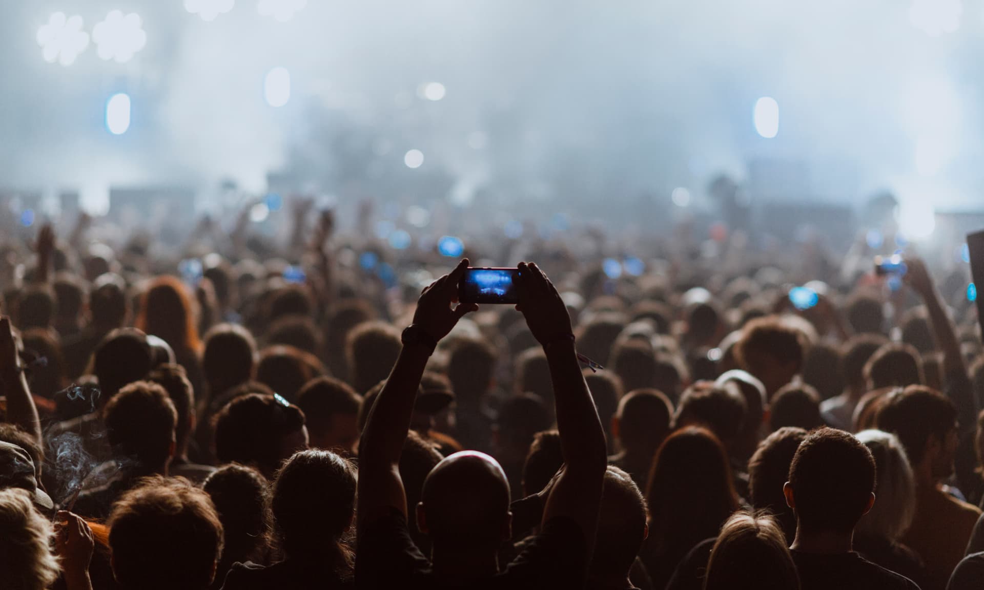 Concert goers